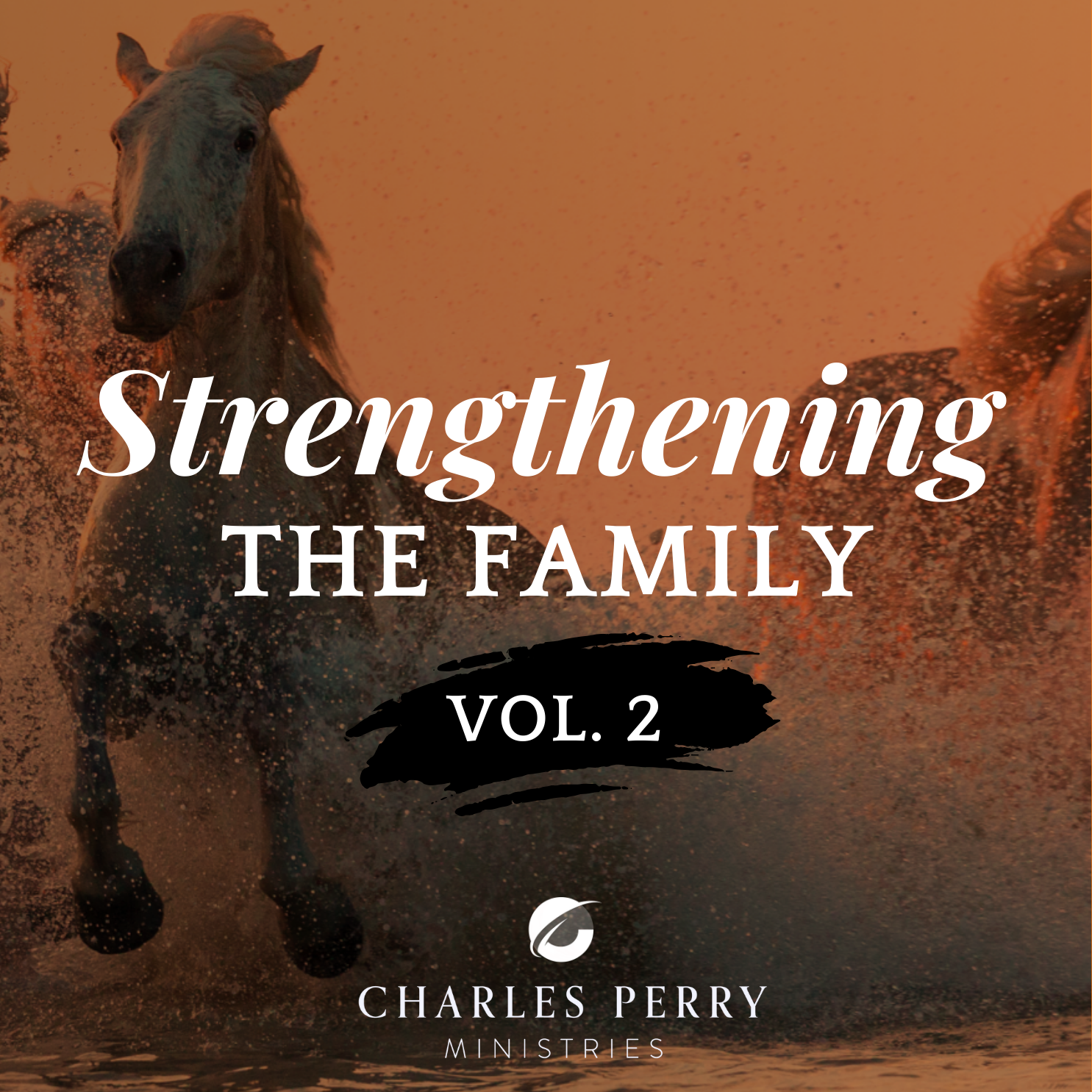 Strengthening the Family -Vol 2